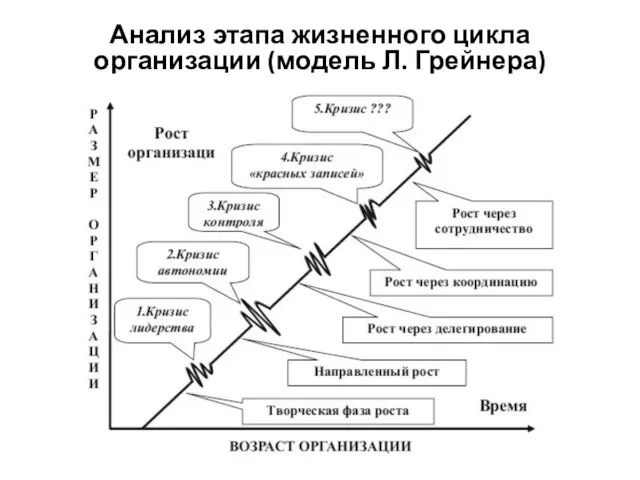Анализ этапа жизненного цикла организации (модель Л. Грейнера)