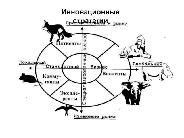 Инновационные стратегии