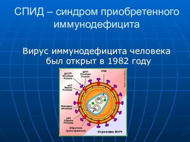 СПИД – синдром приобретенного иммунодефицита Вирус иммунодефицита человека был открыт в 1982 году