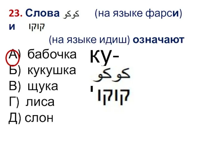 23. Слова (на языке фарси) и (на языке идиш) означают А) бабочка