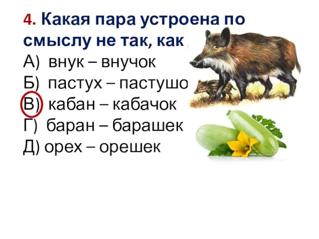 4. Какая пара устроена по смыслу не так, как другие? А) внук