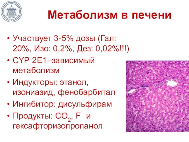 Метаболизм в печени Участвует 3-5% дозы (Гал: 20%, Изо: 0,2%, Дез: 0,02%!!!)