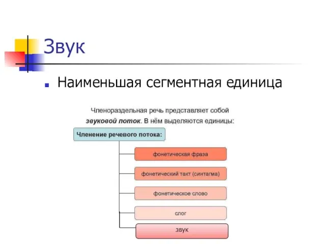 Звук Наименьшая сегментная единица