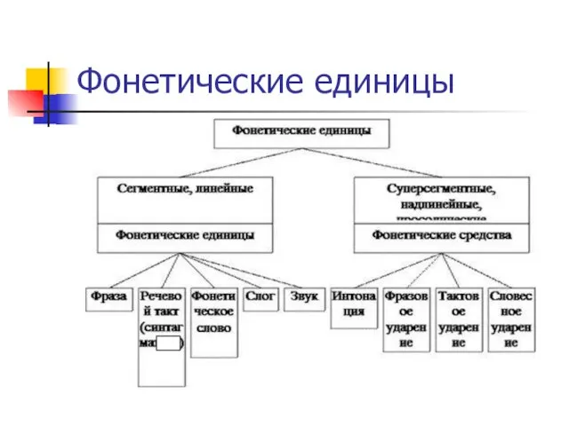 Фонетические единицы