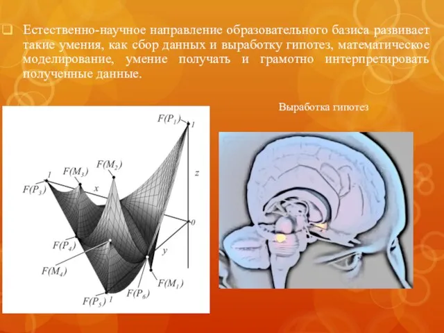 Естественно-научное направление образовательного базиса развивает такие умения, как сбор данных и выработку