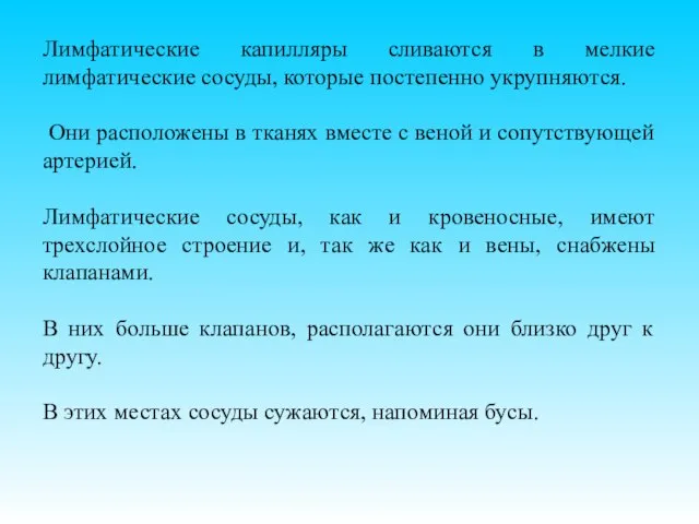 Лимфатические капилляры сливаются в мелкие лимфатические сосуды, которые постепенно укрупняются. Они расположены