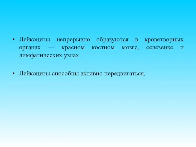 Лейкоциты непрерывно образуются в кроветворных органах — красном костном мозге, селезенке и