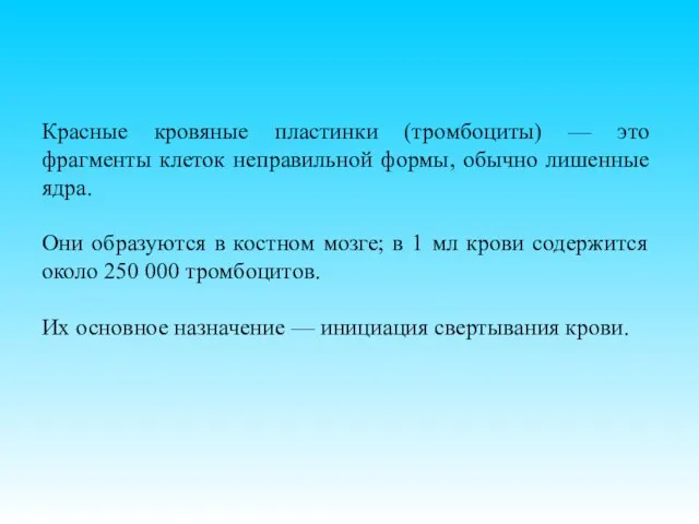 Красные кровяные пластинки (тромбоциты) — это фрагменты клеток неправильной формы, обычно лишенные