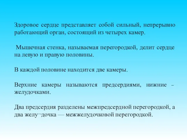 Здоровое сердце представляет собой сильный, непрерывно работающий орган, состоящий из четырех камер.