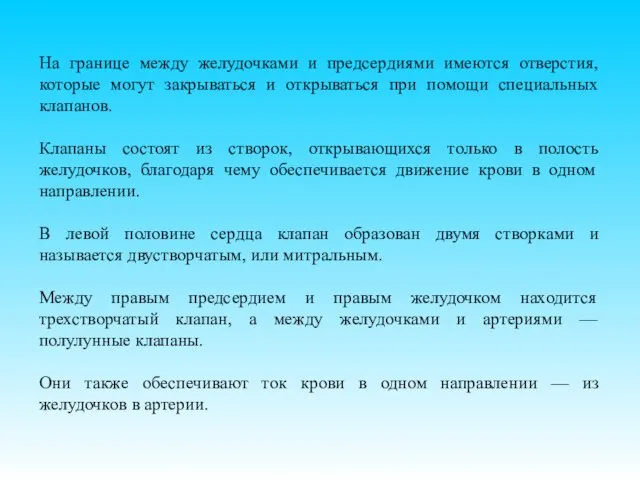 На границе между желудочками и предсердиями имеются отверстия, которые могут закрываться и