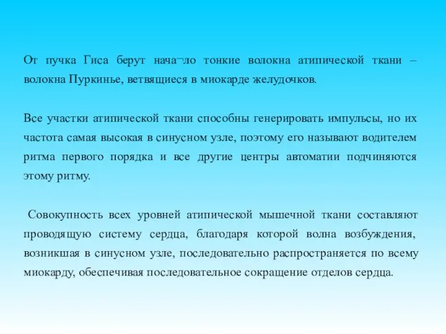 От пучка Гиса берут нача¬ло тонкие волокна атипической ткани – волокна Пуркинье,