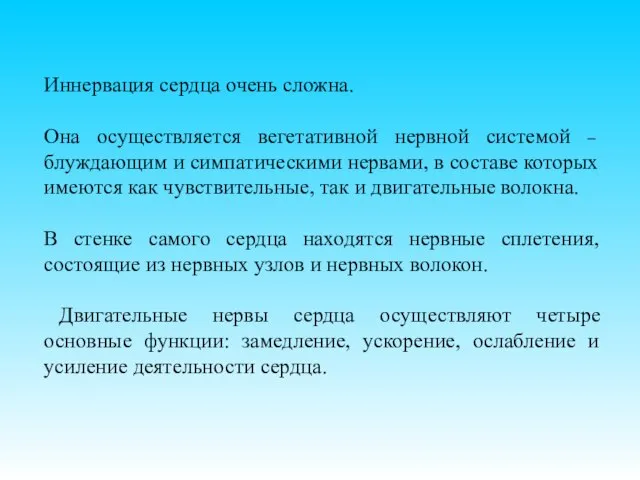 Иннервация сердца очень сложна. Она осуществляется вегетативной нервной системой – блуждающим и