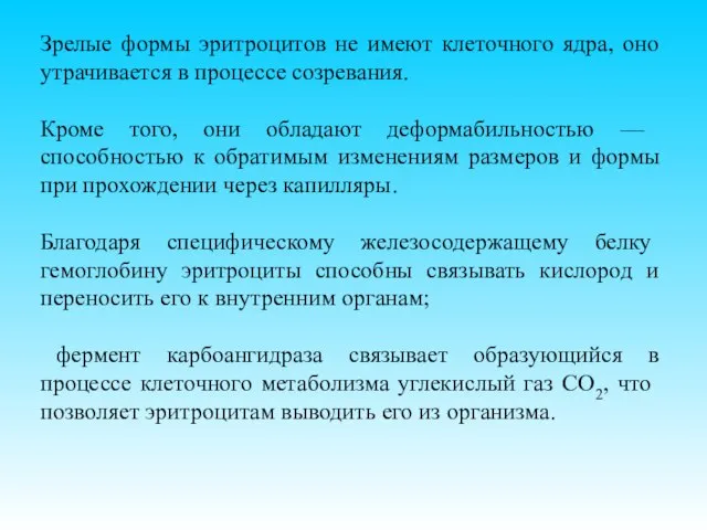 Зрелые формы эритроцитов не имеют клеточного ядра, оно утрачивается в процессе созревания.