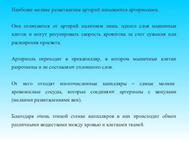 Наиболее мелкие разветвления артерий называются артериолами. Они отличаются от артерий наличием лишь