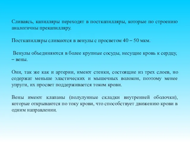 Сливаясь, капилляры переходят в посткапилляры, которые по строению аналогичны прекапилляру. Посткапилляры сливаются