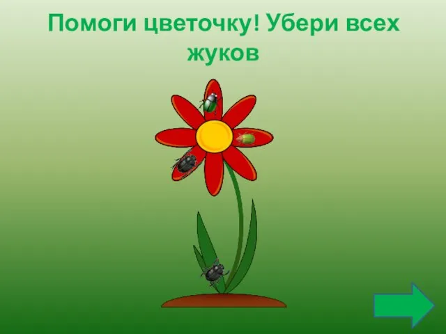 Помоги цветочку! Убери всех жуков