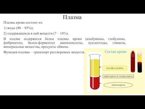 Плазма Плазма крови состоит из: 1) воды (90 – 93%); 2) содержащихся