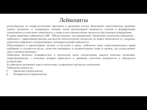 Лейкоциты разнообразные по морфологическим признакам и функциям клетки. Выполняют многообразные функции: защиту