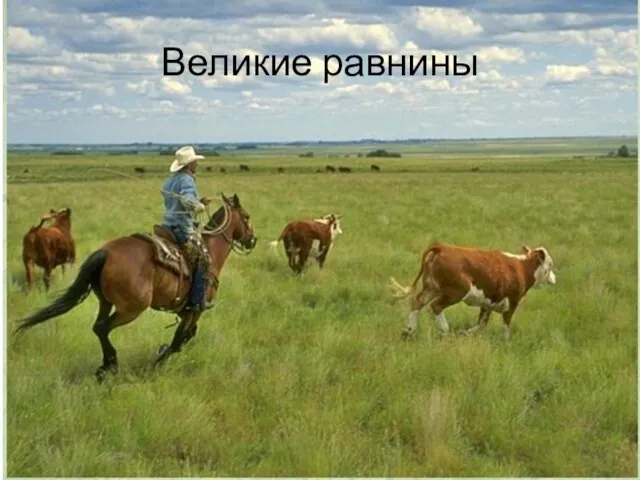 Великие равнины