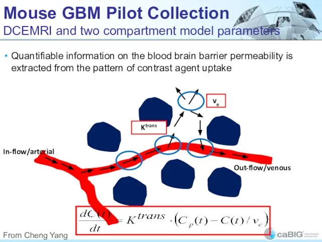 Mouse GBM Pilot Collection DCEMRI and two compartment model parameters Quantifiable information
