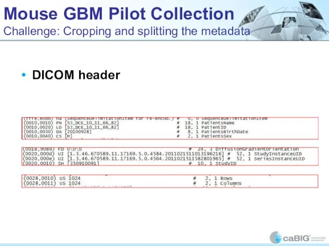 Mouse GBM Pilot Collection Challenge: Cropping and splitting the metadata DICOM header