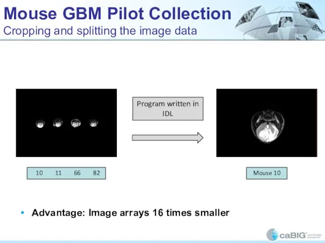 Mouse GBM Pilot Collection Cropping and splitting the image data Advantage: Image arrays 16 times smaller