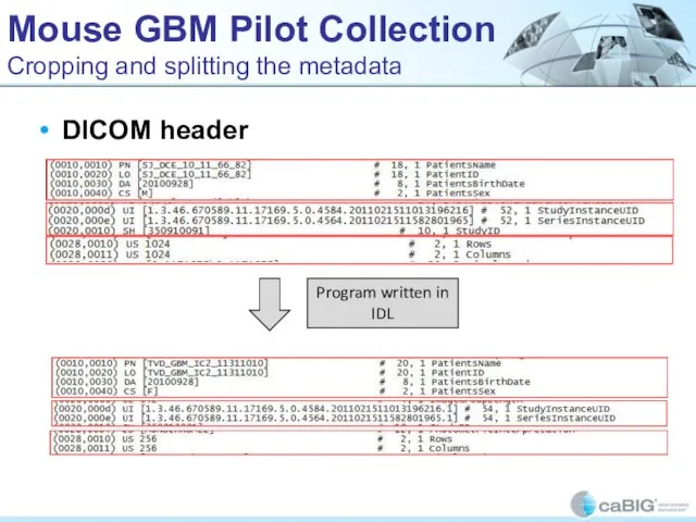 Mouse GBM Pilot Collection Cropping and splitting the metadata DICOM header