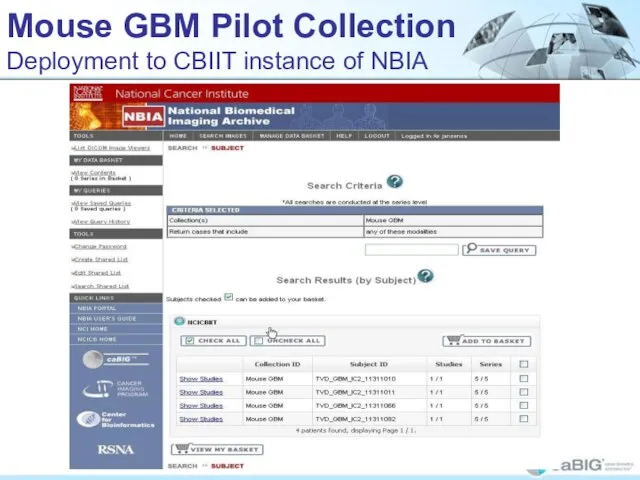 Mouse GBM Pilot Collection Deployment to CBIIT instance of NBIA