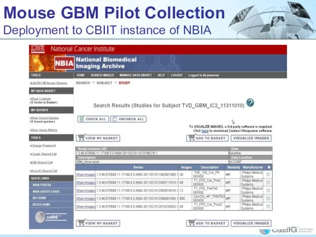 Mouse GBM Pilot Collection Deployment to CBIIT instance of NBIA