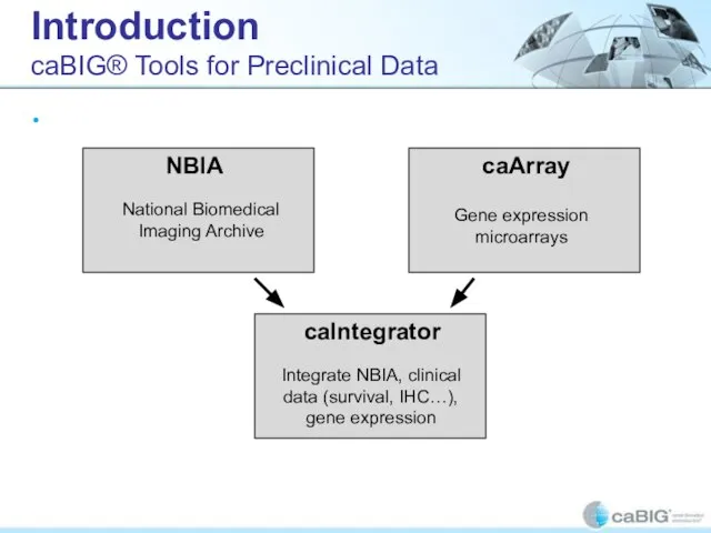 Introduction caBIG® Tools for Preclinical Data Data from NBIA (National Biomedial Imaging