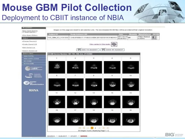 Mouse GBM Pilot Collection Deployment to CBIIT instance of NBIA