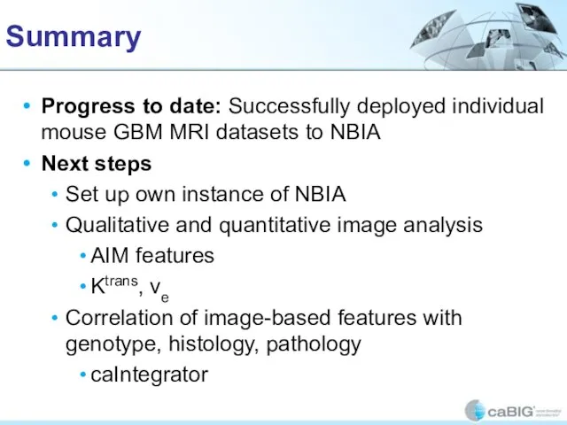 Summary Progress to date: Successfully deployed individual mouse GBM MRI datasets to