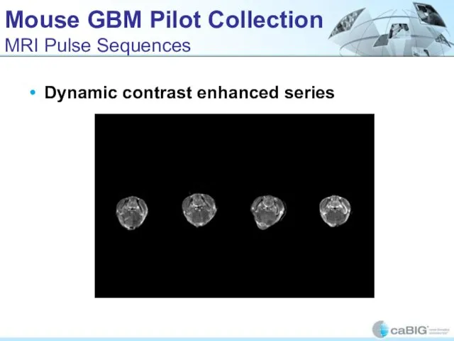 Mouse GBM Pilot Collection MRI Pulse Sequences Dynamic contrast enhanced series
