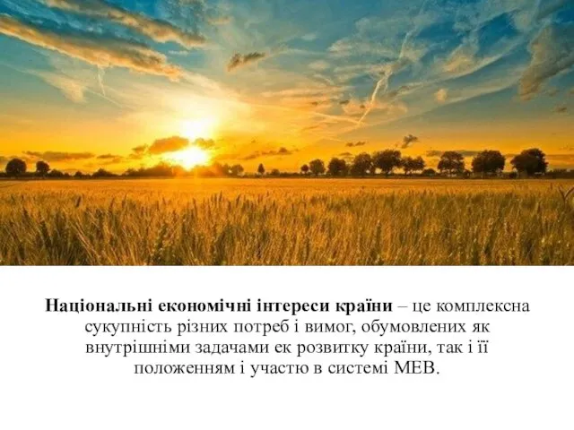 Національні економічні інтереси країни – це комплексна сукупність різних потреб і вимог,