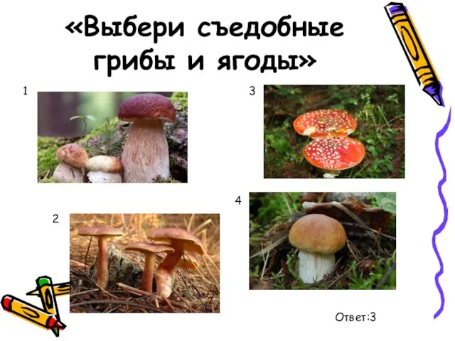 «Выбери съедобные грибы и ягоды» 1 2 3 4 Ответ:3