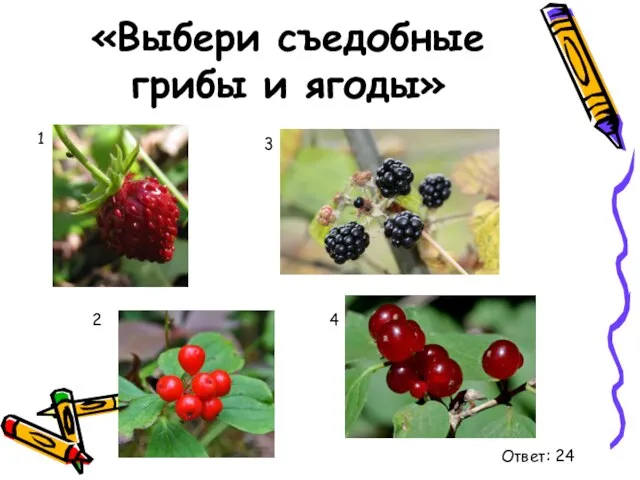 «Выбери съедобные грибы и ягоды» 1 2 3 4 Ответ: 24