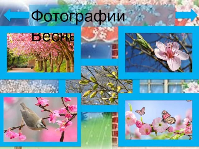 Фотографии Весны