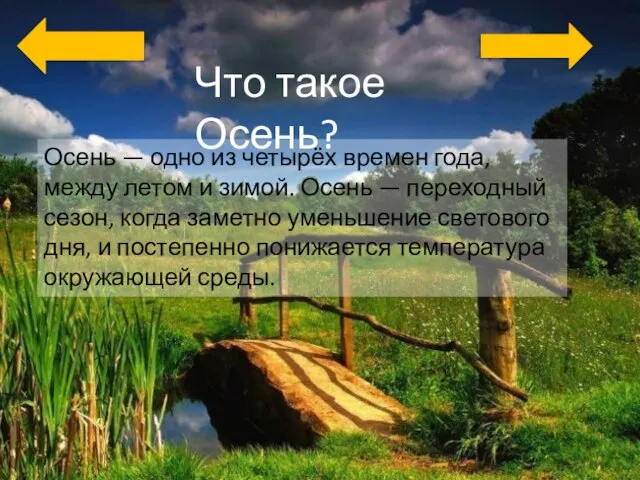 Что такое Осень? Осень — одно из четырёх времен года, между летом