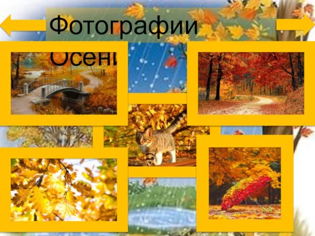 Фотографии Осени