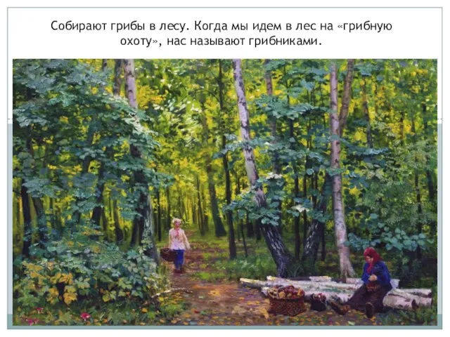 Собирают грибы в лесу. Когда мы идем в лес на «грибную охоту», нас называют грибниками.