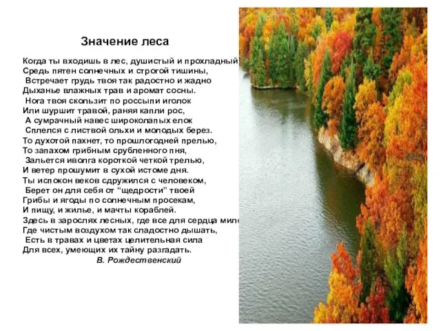 Значение леса Когда ты входишь в лес, душистый и прохладный, Средь пятен