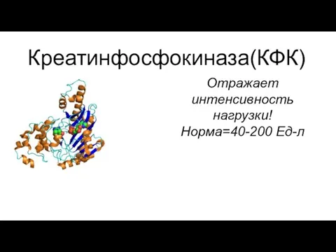 Креатинфосфокиназа(КФК) Отражает интенсивность нагрузки! Норма=40-200 Ед-л