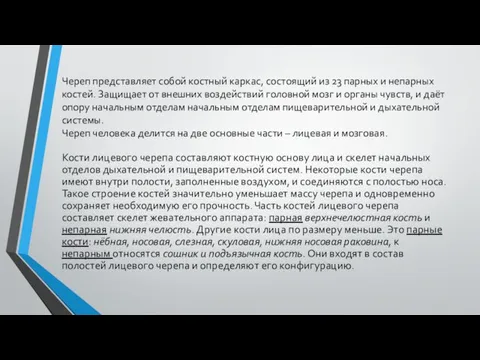 Череп представляет собой костный каркас, состоящий из 23 парных и непарных костей.