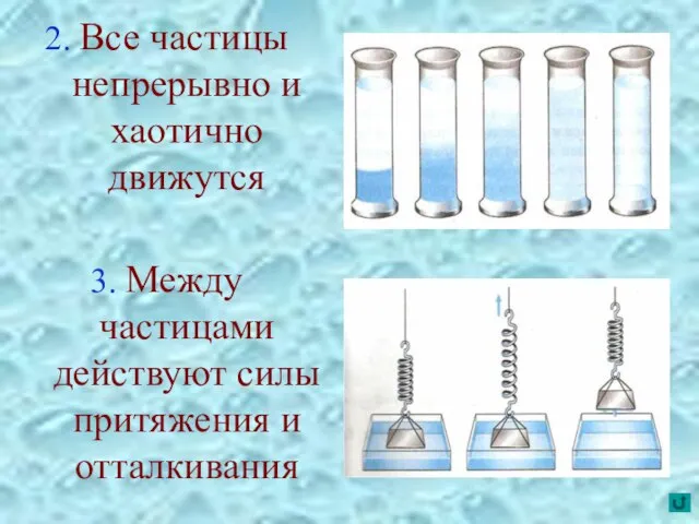 2. Все частицы непрерывно и хаотично движутся 3. Между частицами действуют силы притяжения и отталкивания