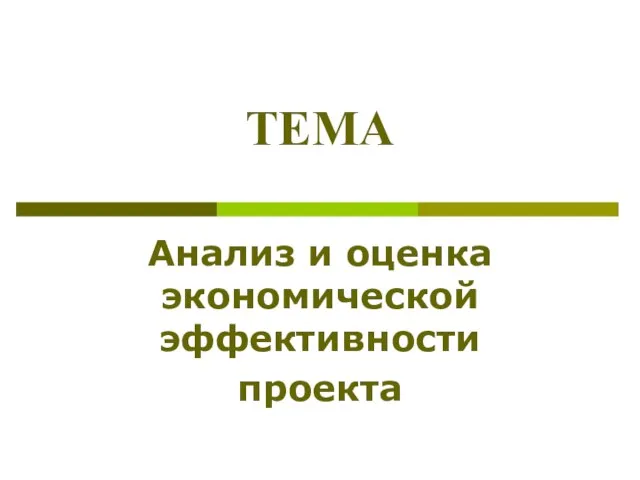 Анализ и оценка экономической эффективности проекта ТЕМА