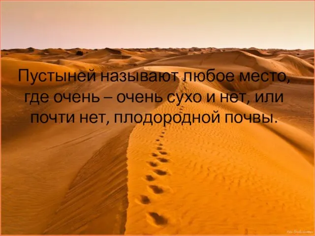 Пустыней называют любое место, где очень – очень сухо и нет, или почти нет, плодородной почвы.