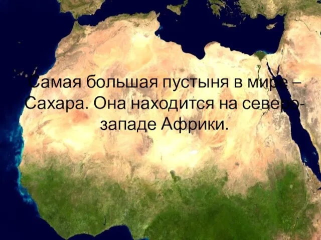 Самая большая пустыня в мире – Сахара. Она находится на северо-западе Африки.