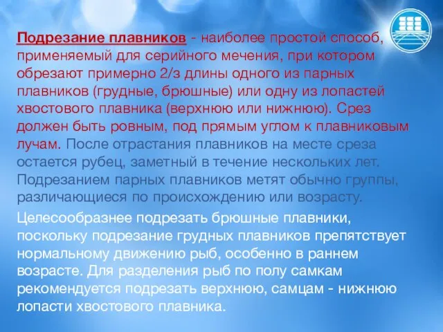 Подрезание плавников - наиболее простой способ, применяемый для серийного мечения, при котором