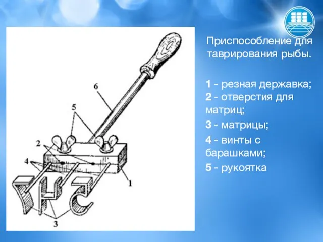 Приспособление для таврирования рыбы. 1 - резная державка; 2 - отверстия для