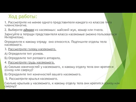 Ход работы: 1. Рассмотрите не менее одного представителя каждого из классов типа